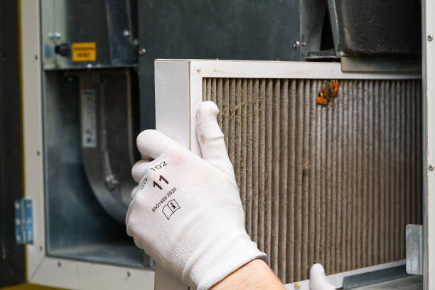 Best Professional Duct Cleaning Services  in Rockton, IL
