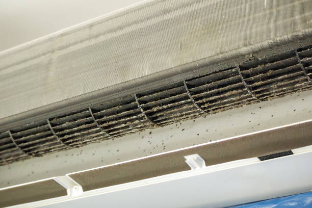 Best Air Duct Cleaning Company Near Me  in Rockton, IL